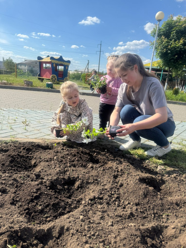 В нашем детском саду прошла ежегодная акция «Посади цветок с мамой» В нашем детском саду прошла ежегодная акция «Посади цветок с мамой».